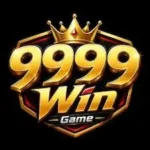9999Win
