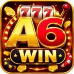 A6Win